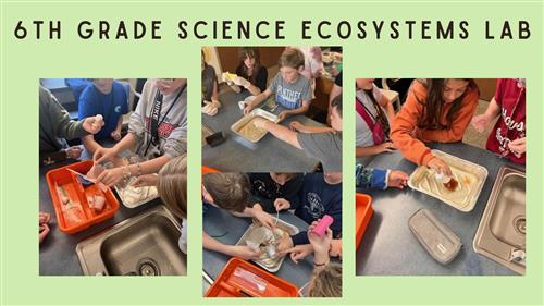 6th Science